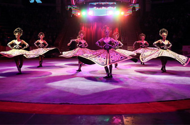 Фестиваль циркового искусства