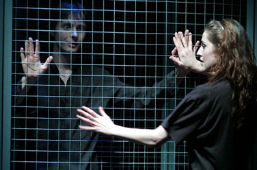 Эти свободные бабочки