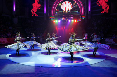 Вот это - Цирк!