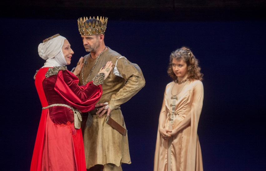 Аквитанская львица