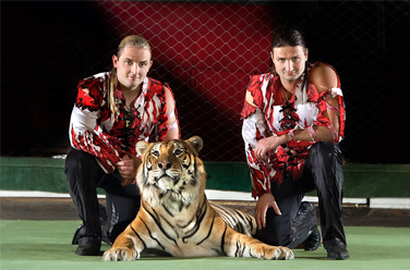 Беспонятье