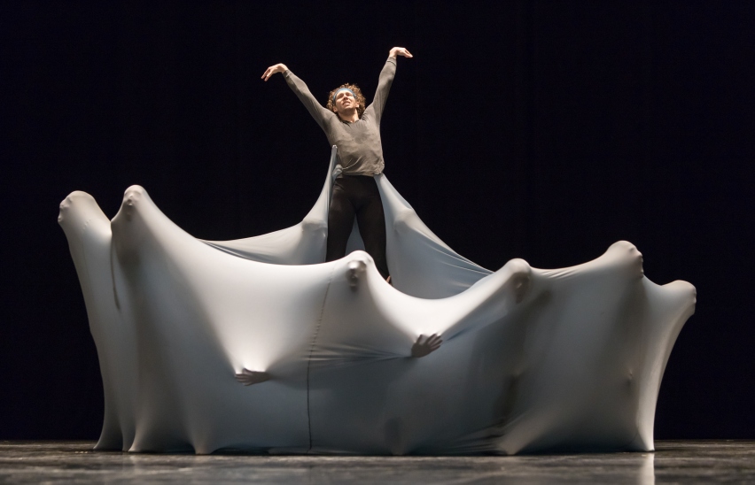 Чайка. Балетная история