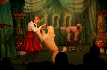 Забавляя - поучать