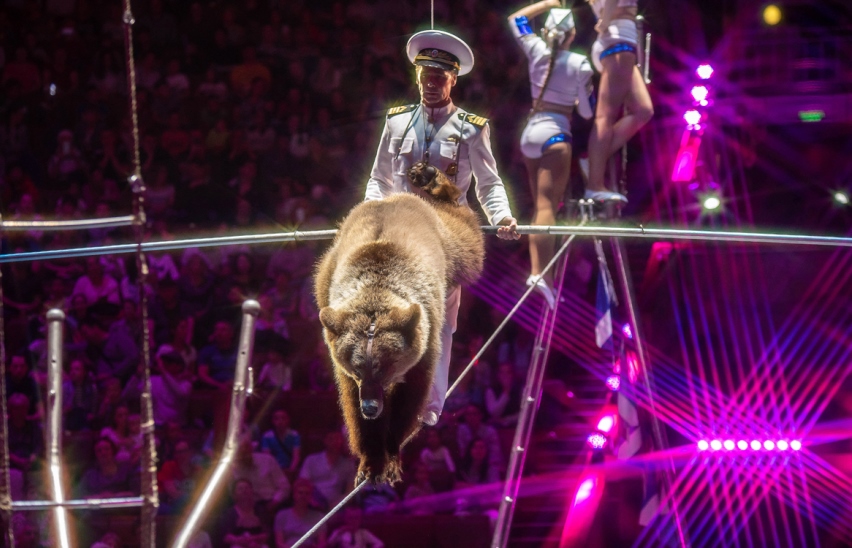 Эпицентр Мира