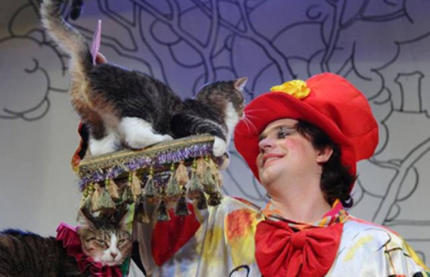 Фантазии и кошки