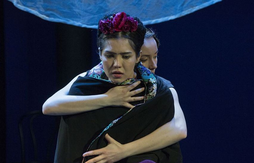 Фрида. Жизнь в цвете