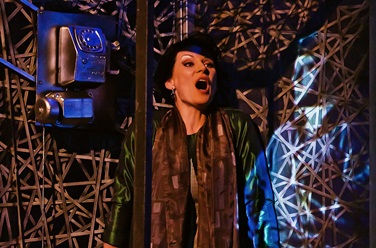 Голос женщины