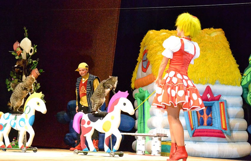 Кошки из вселенной