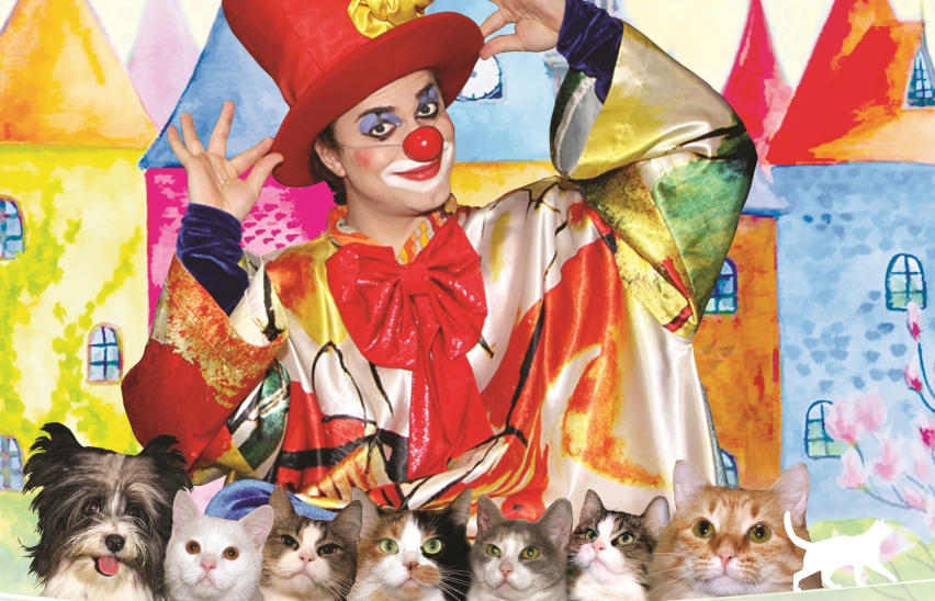 Кошки в городе