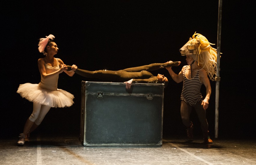 Лев с седой бородой