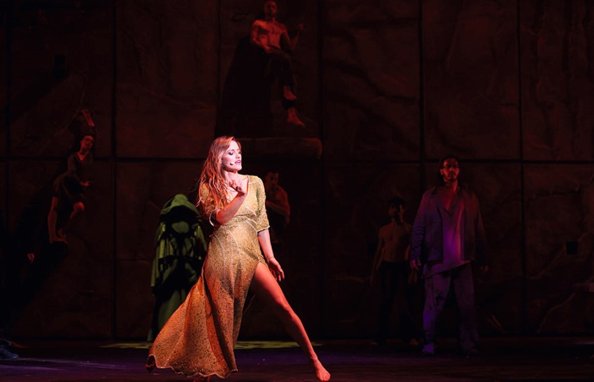 Нотр Дам де Пари