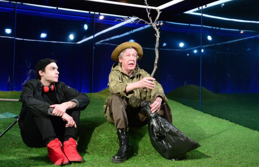 Посадить дерево