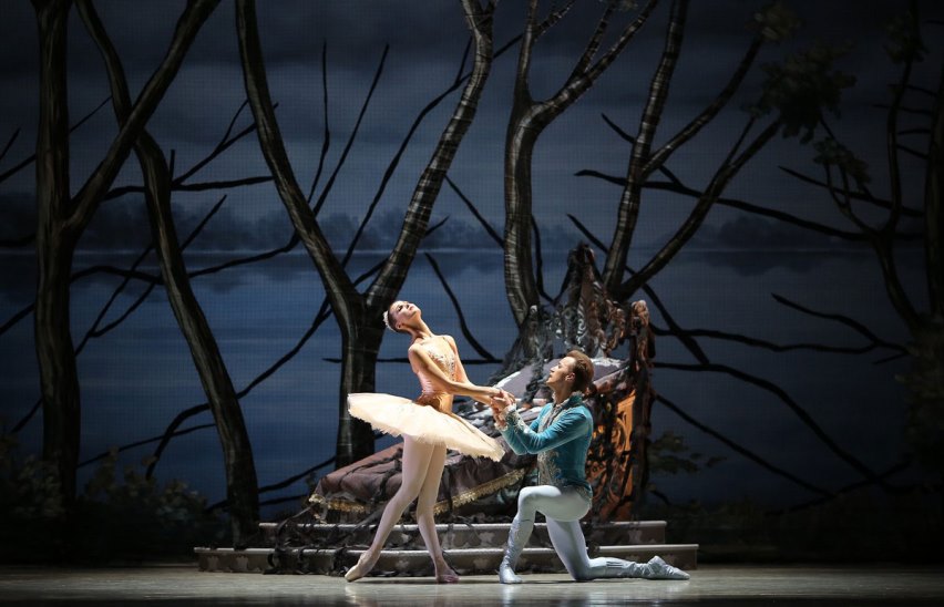 Спящая красавица