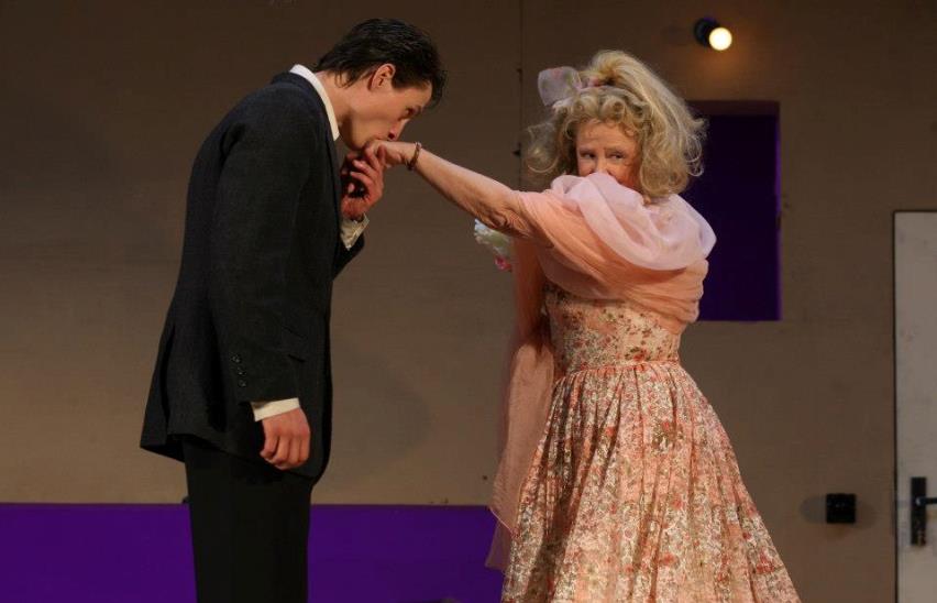 Стеклянный зверинец