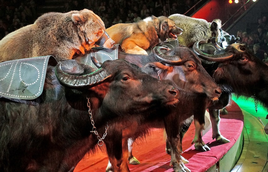 Тайна старых страниц