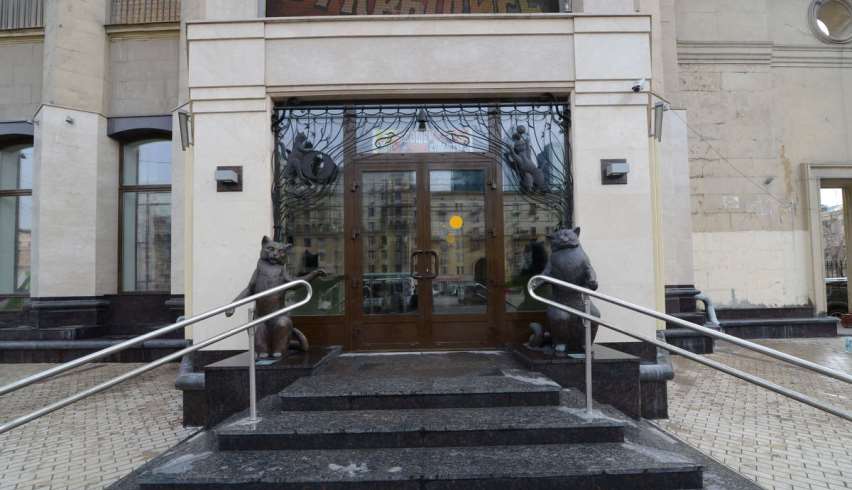 Люди и кошки