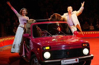 Золотой сезон