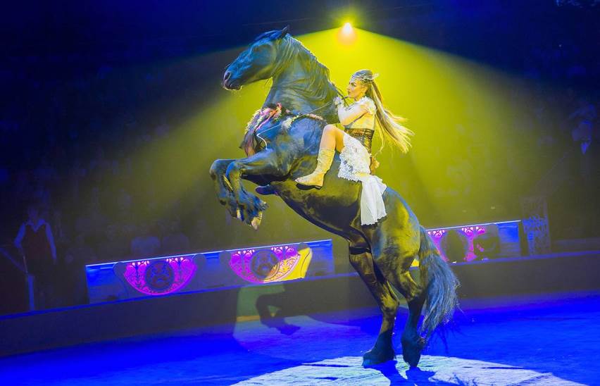 Все краски мира!