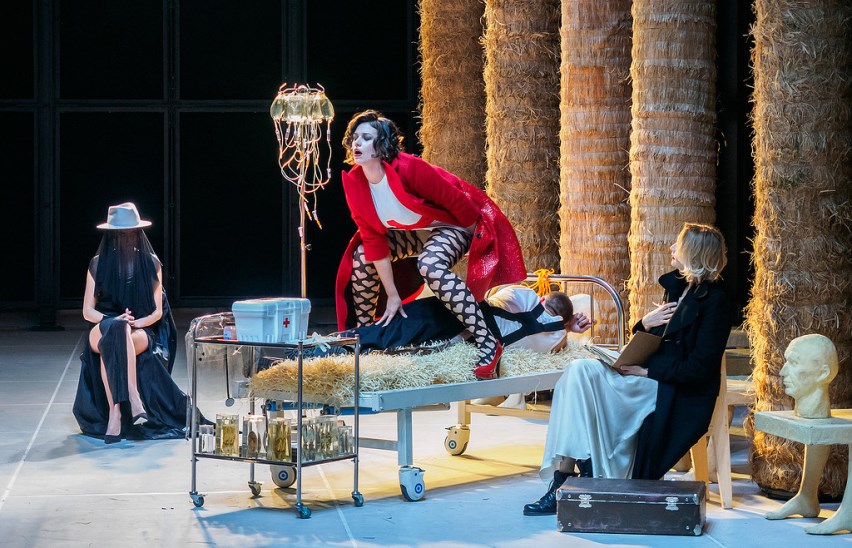 Золотой осел